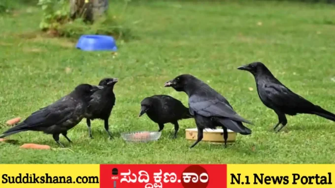 ಕಾಗೆ