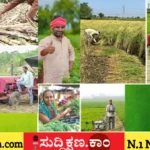 ಪಿಎಂ ಕಿಸಾನ್