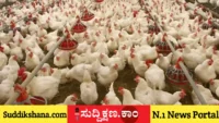 ಕೋಳಿ