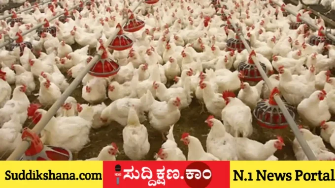 ಕೋಳಿ