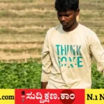 ಕೃಷಿ