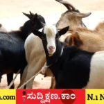 ನಿರುದ್ಯೋಗಿ