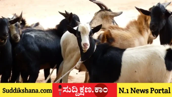 ನಿರುದ್ಯೋಗಿ
