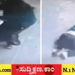 ಲಸಿಕೆ