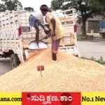 ಮೆಕ್ಕೆಜೋಳ