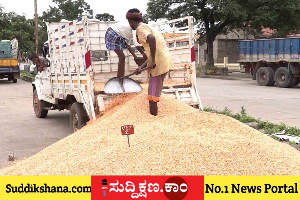 ಮೆಕ್ಕೆಜೋಳ