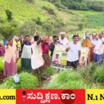 ದಾವಣಗೆರೆ