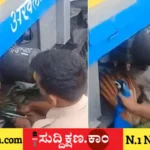 ನವಿಲು