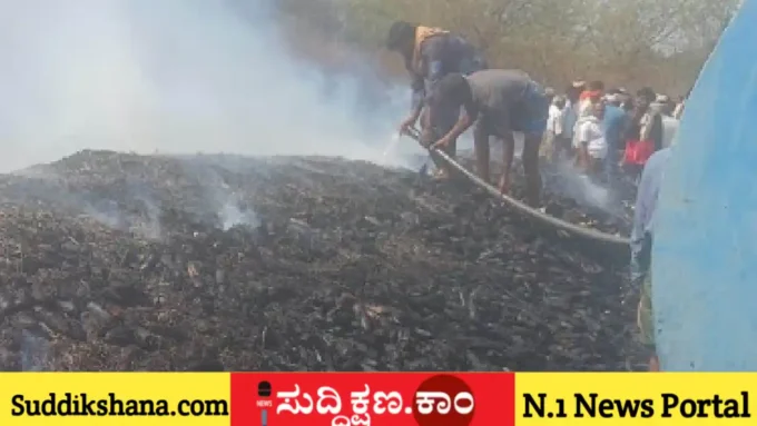 ಮೆಕ್ಕೆಜೋಳ