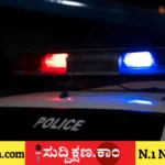 ನರ್ಸಿಂಗ್