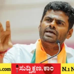 ಕೆ. ಅಣ್ಣಾಮಲೈ