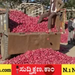 ಈರುಳ್ಳಿ