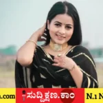 ಪಂಜಾಬಿ
