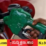 ಪೆಟ್ರೋಲ್