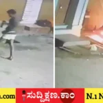 ಪೆಟ್ರೋಲ್