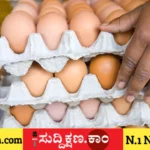 ಪ್ರೋಟೀನ್
