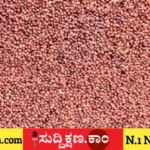 ರಾಗಿ