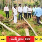 ಮಳೆ