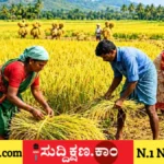ಅಕ್ಕಿ