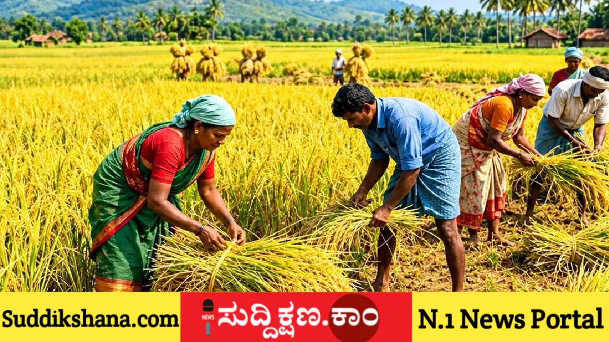 ಅಕ್ಕಿ