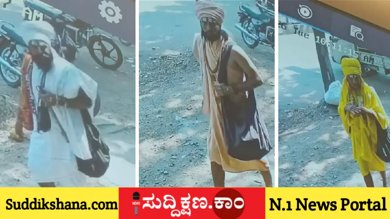 ಸಾಧು