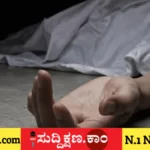 ಟೆಕ್ಕಿ