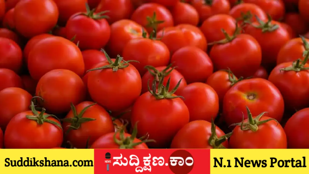 ಟೊಮೆಟೊ