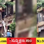ನವವಧು