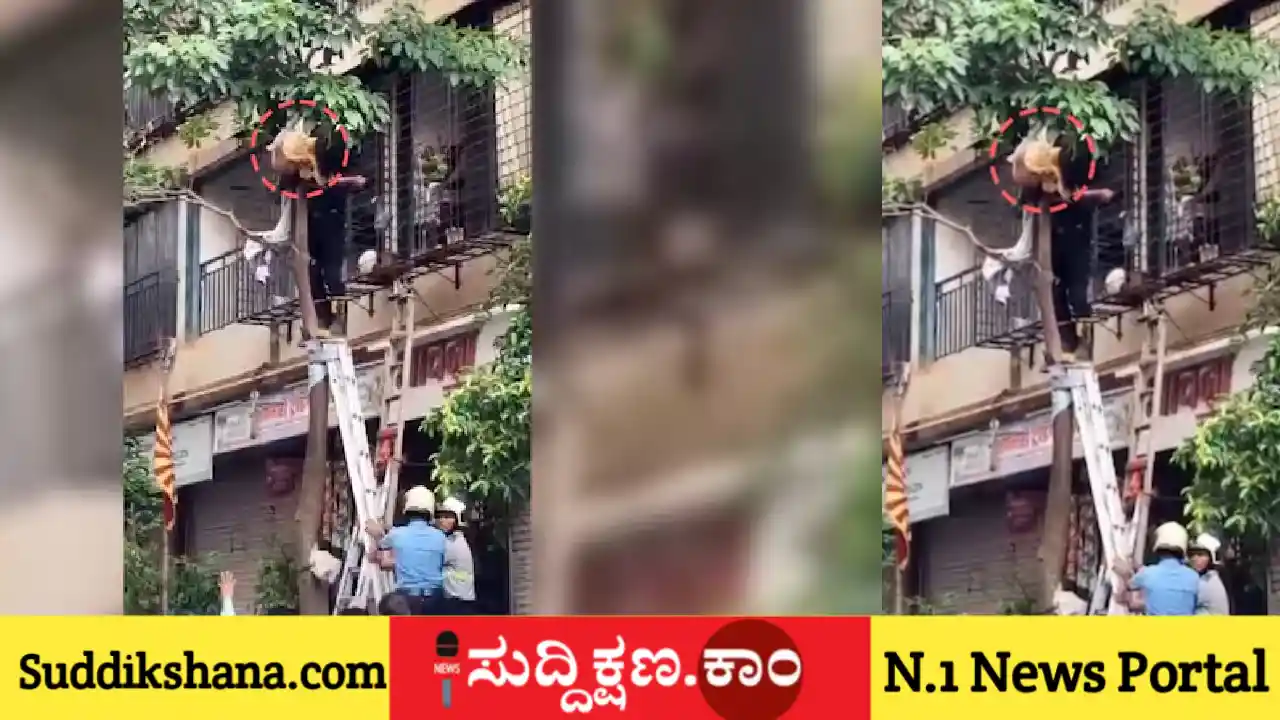 ನವವಧು