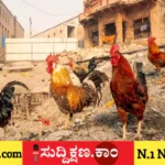 ವಾರಾಣಸಿ