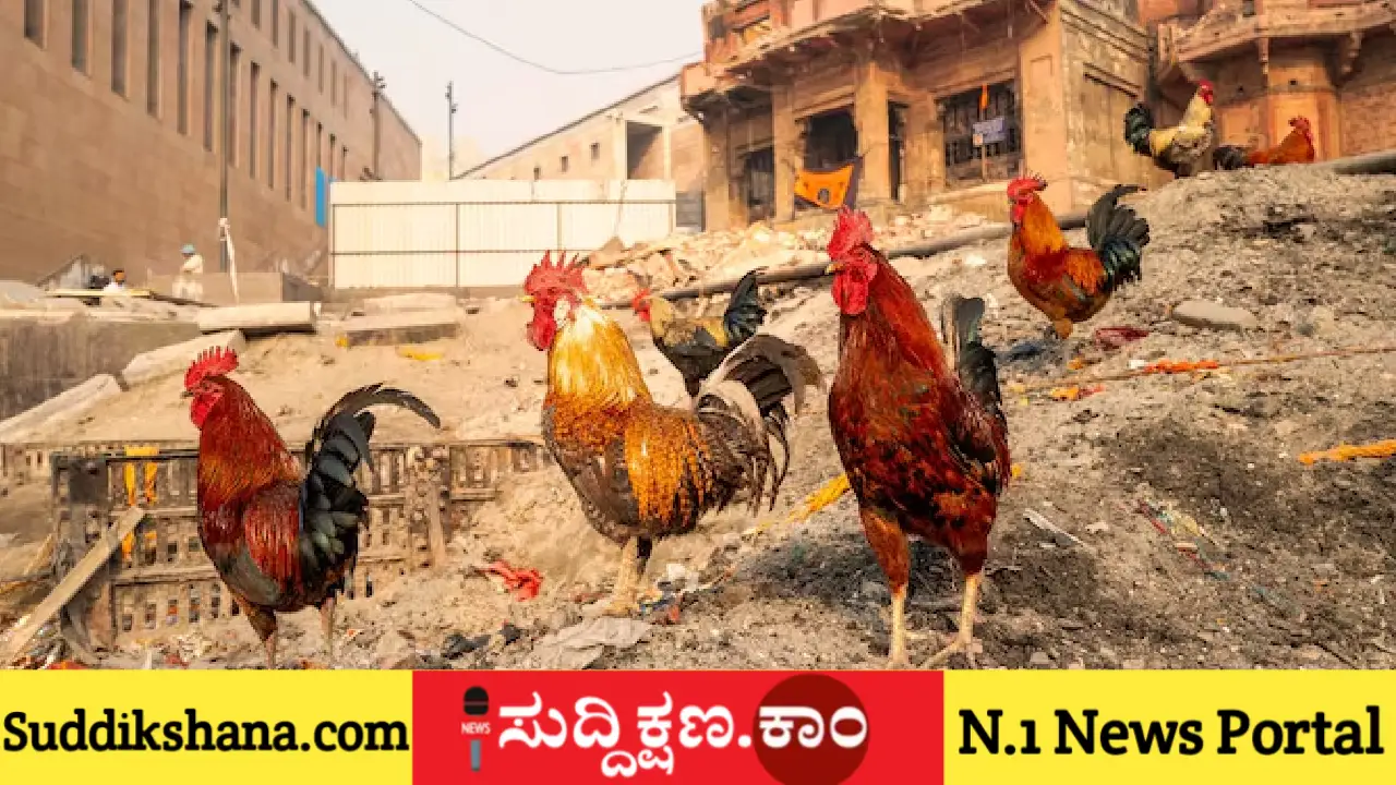 ವಾರಾಣಸಿ