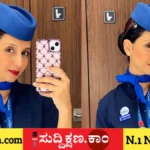 ಇಂಡಿಗೋ