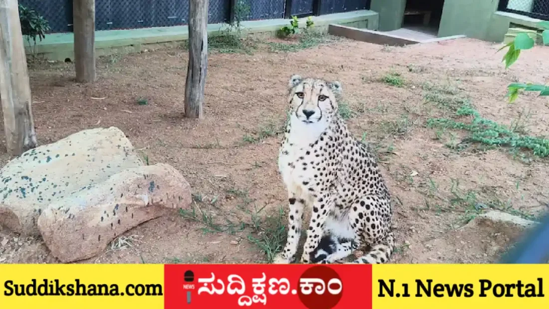 ಬನ್ನೇರುಘಟ್ಟ