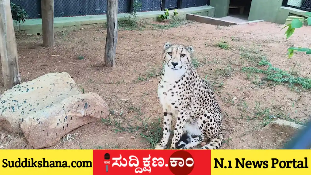 ಬನ್ನೇರುಘಟ್ಟ